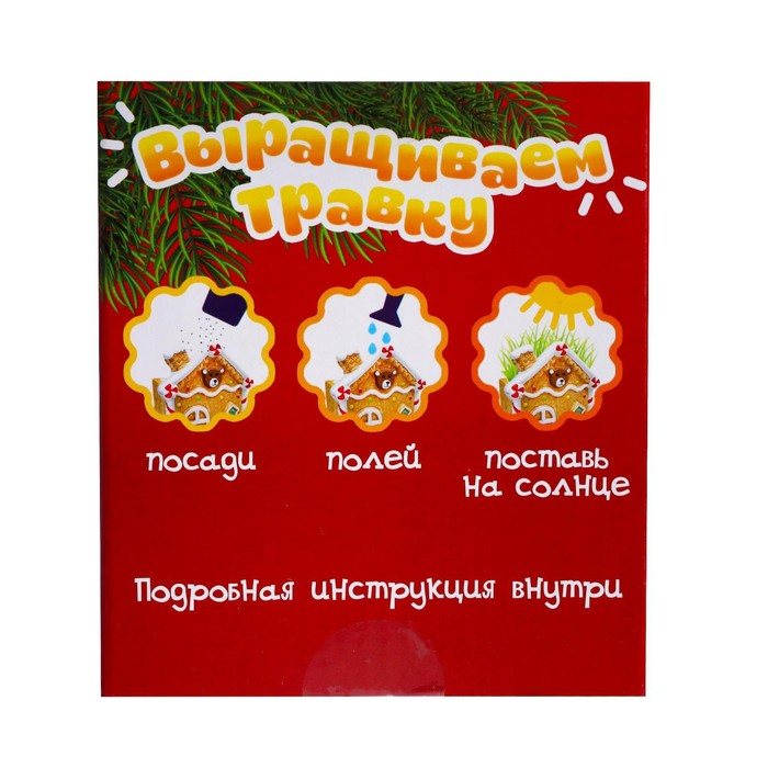 Набор для опытов «Выращиваем травку: Домик», с семенами Набор для опытов «Выращиваем травку: Домик», с семенами