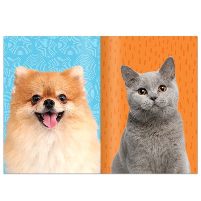 Книга с наклейками «Укрась питомца», 12 стр., 55 наклеек Книга с наклейками «Укрась питомца», 12 стр., 55 наклеек