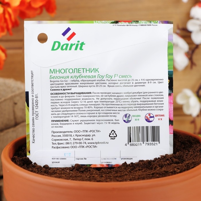 Семена цветов Бегония  Семена цветов Бегония "Гоу-гоу", 6 шт.