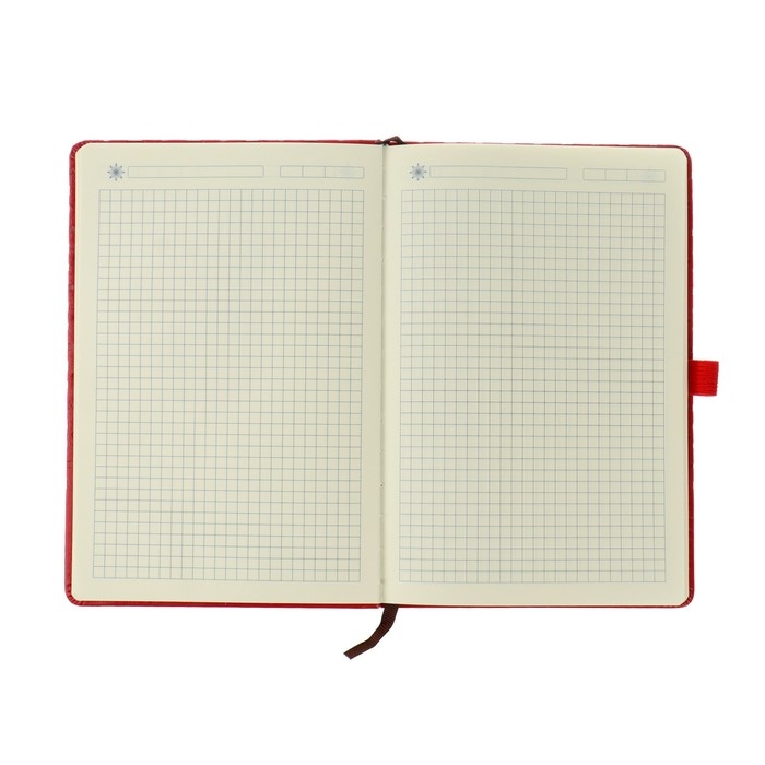 Ежедневник недатированный А5, 100 листов в клетку, на резинке, обложка кожзам, МИКС Ежедневник недатированный А5, 100 листов в клетку, на резинке, обложка кожзам, МИКС