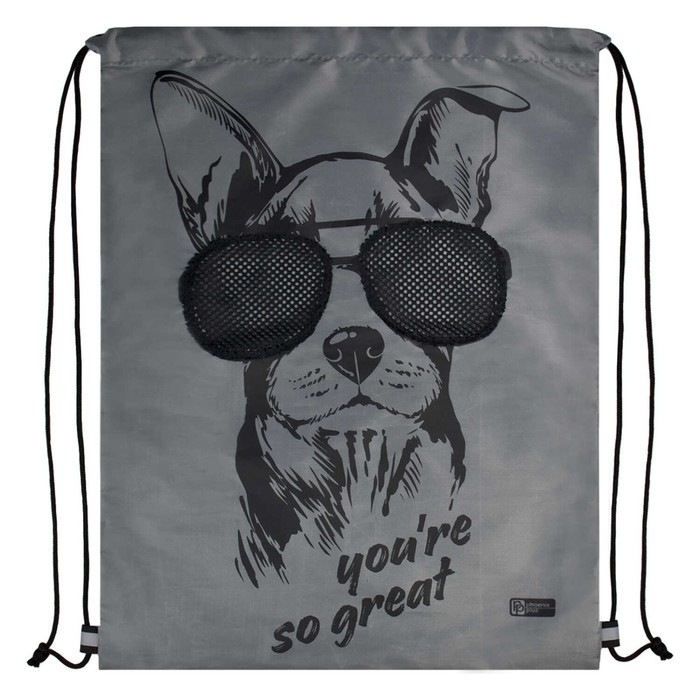 Мешок для обуви 480 х 360 мм, Феникс, шелкография, сетка,  Мешок для обуви 480 х 360 мм, Феникс, шелкография, сетка, "Собака в очках"