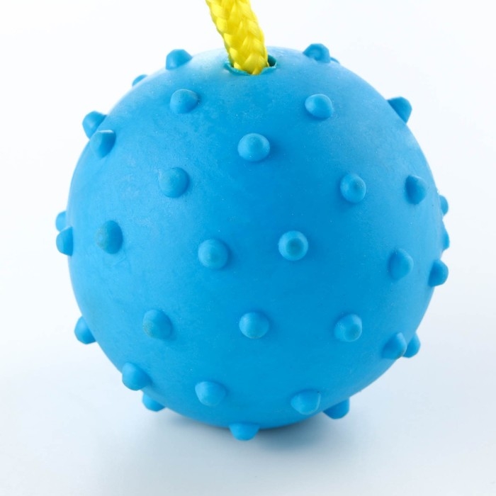 Игрушка мяч на веревке, 6 см, синяя