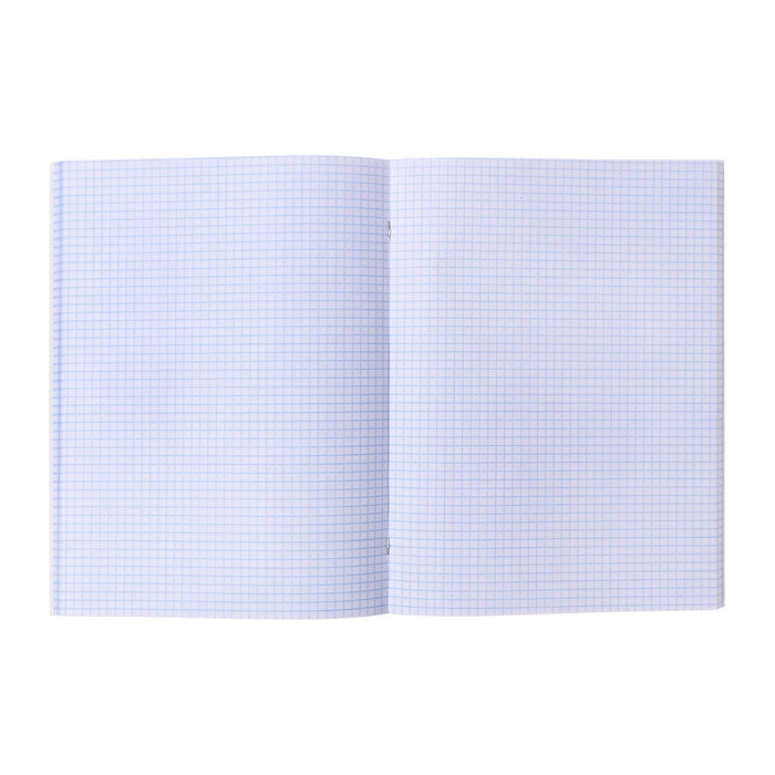 Тетрадь А4 48 листов в клетку Calligrata Тетрадь А4 48 листов в клетку Calligrata "Кеды", обложка мелованный картон, глянцевая ламинация, блок офсет