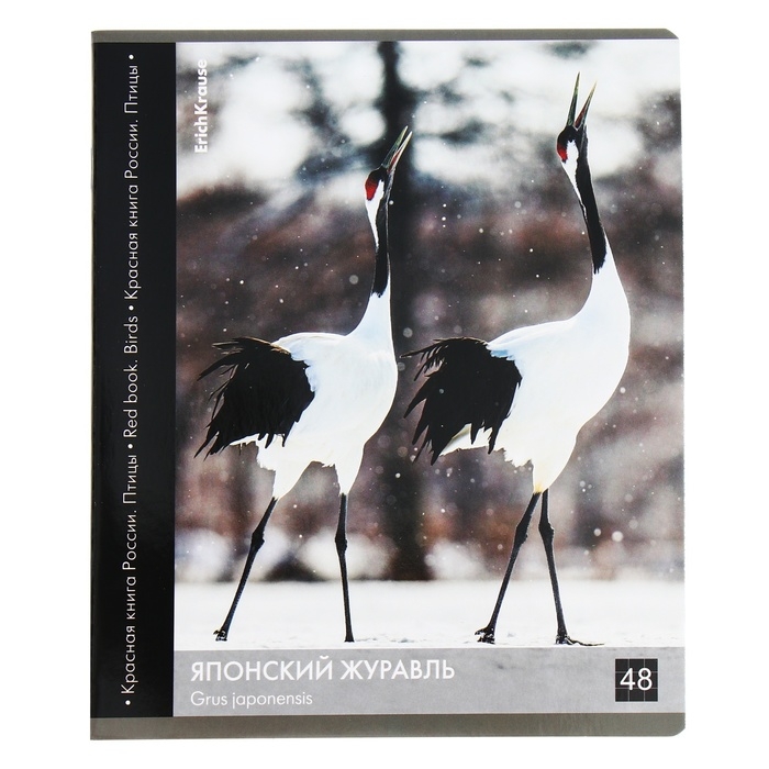Тетрадь 48 листов в клетку, ErichKrause Тетрадь 48 листов в клетку, ErichKrause "Красная книга России. Птицы", обложка мелованный картон, глянцевая ламинация, блок офсет 100% белизна, МИКС