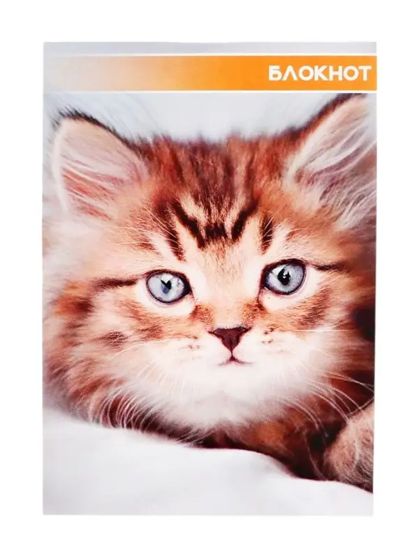 Набор блокнотов А6 40л кл на скобе Котята и щенята, мел карт, 4В 20шт