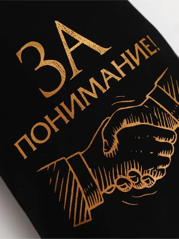 Стопки в чехле &laquo;За понимание!&raquo;: нержавеющая сталь, набор 3 шт.&times;30 мл