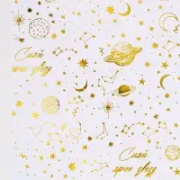 Бумага упаковочная глянцевая &laquo;Сияй ярче звезд&raquo;, тиснение, 50&times;70 см