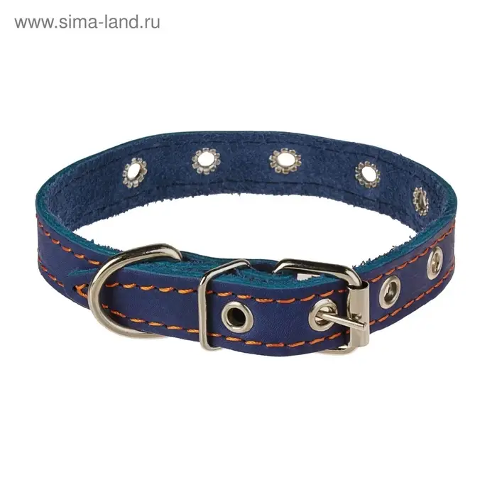 Ошейник однослойный безразмерный, 45&times;2 см, ОШ 18-39 см, кожа, синий