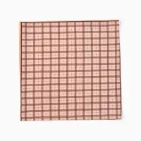 Платки носовые мужские &laquo;Этель&raquo;, 30&times;30 см, набор 12 шт., 100% хлопок, коричневые, рисунок МИКС