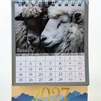 Календарь-домик 2027 &laquo;Фотореализм&raquo;