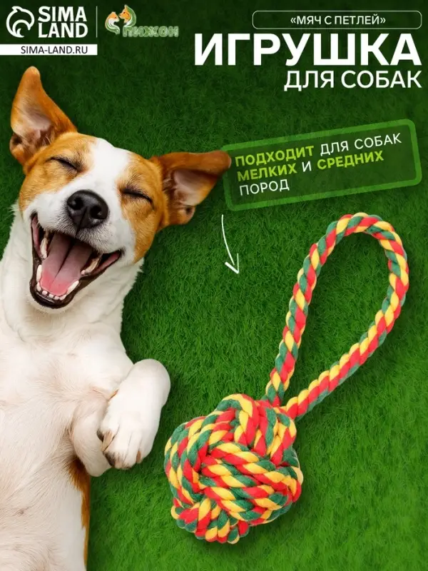 Игрушка канатная &laquo;Мяч с петлей&raquo;, до 65 г, цвет МИКС