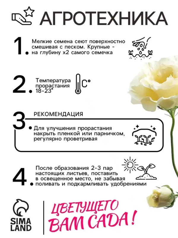 Семена цветов Эустома &laquo;Эйбиси&raquo;, F1, зелёная крупноцветковая махровая, 5 шт., однолетник, &laquo;Аэлита&raquo; селекция PanAmerican Seed