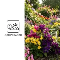 Семена цветов Статица &laquo;Мечта флориста&raquo;, смесь, 0.1 г, однолетник, &laquo;Агроуспех&raquo;