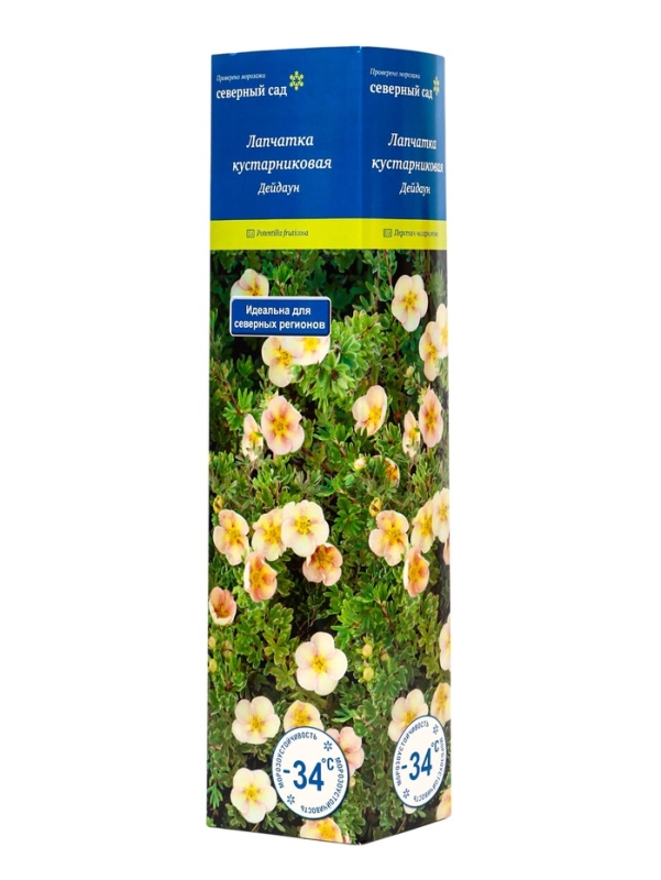 Лапчатка кустарниковая (Серия Северный сад) "Дейдаун" 1 шт, туба, Весна 2025