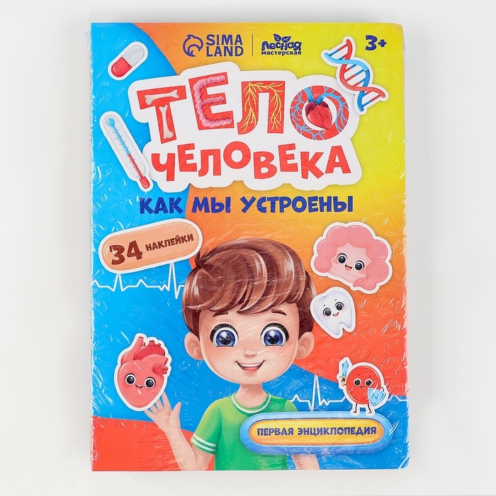 Обучающий набор «Тело человека», рамка-вкладка и книга с наклейками Обучающий набор «Тело человека», рамка-вкладка и книга с наклейками