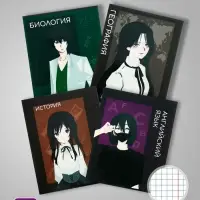 Набор предметных тетрадей Calligrata TOP &laquo;Аниме&raquo;, 10 предметов, 48 листов, со справочным материалом, обложка из мелованного картона