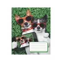 Тетрадь 12 листов в косую линейку, Calligrata «Селфи.DOG», обложка мелованная бумага, серые листы, МИКС