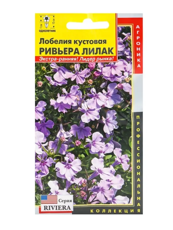 Семена цветов Лобелия кустовая &laquo;Ривьера Лилак&raquo;, драже, 8 шт., однолетник, &laquo;Агроника&raquo;