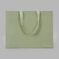 Пакет подарочный, ламинированный, горизонтальный, &laquo;Хаки&raquo;, 32&times;25&times;11 см