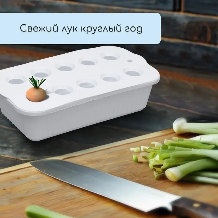 Ящик для выращивания зелёного лука, 29&times;16&times;8.5 см, 2.5 л, 10 лунок, пластик, белый, Greengo