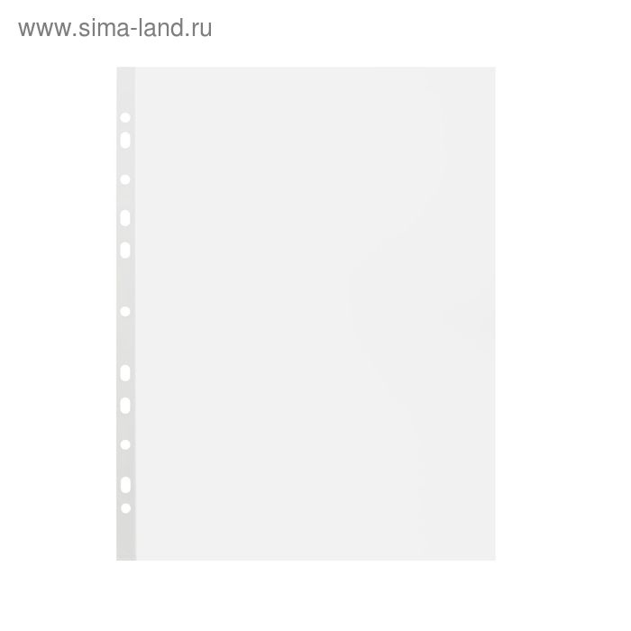 Файл-вкладыш А4, 60 мкм, Calligrata, плотные, глянцевый, вертикальный, 100 штук Файл-вкладыш А4, 60 мкм, Calligrata, плотные, глянцевый, вертикальный, 100 штук