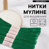 Набор ниток мулине №909, 8&plusmn;1 м, 6 шт., тёмно-зелёный