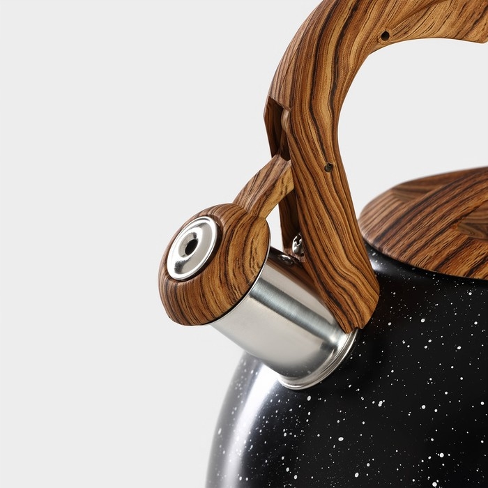 Чайник со свистком из нержавеющей стали Magistro Stone, 2,7 л, ручка soft-touch, индукция, цвет чёрный Чайник со свистком из нержавеющей стали Magistro Stone, 2,7 л, ручка soft-touch, индукция, цвет чёрный