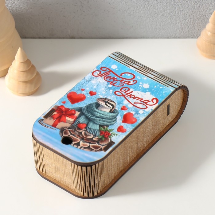 Новогодняя шкатулка-книга  Новогодняя шкатулка-книга "Змея. Тепла и уюта" 13х7х4 см