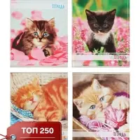 Тетрадь 36 листов в клетку Calligrata &laquo;Котята&raquo;, МИКС