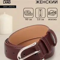 Ремень женский, 3.5&times;110 см, 1 прокол, серебристая пряжка, без винта, коричневый