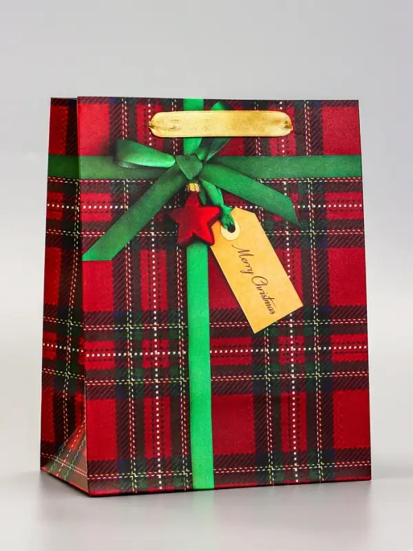 Пакет подарочный ламинированный Пакет подарочный ламинированный "Подарок", 18 х 23 х 10 см