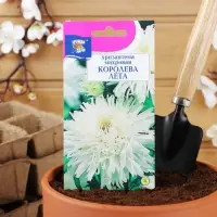 Семена цветов Хризантема многоцветковая &laquo;Королева лета&raquo;, 0.03 г, &laquo;УРОЖАЙ УДАЧИ&raquo;