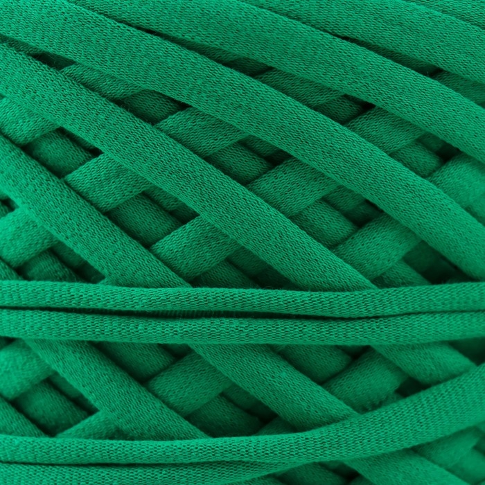 Трикотажная пряжа, ширина 7-9 мм, 100м/295 гр±10% (22 - киви)