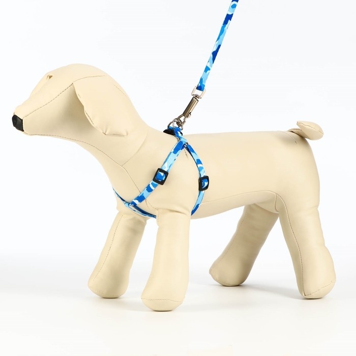 Комплект Комплект "Камуфляж", ширина 1 см,шлейка 21-35 см,поводок 120 см,капрон,капрон, сине-голубой