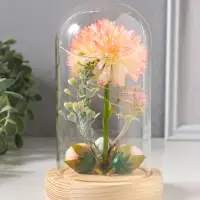 Фигурка световая колба RISALUX &laquo;Пион малый&raquo;, LED-ночник, от батареек 3хLR1130, розово-бежевый, 10&times;10&times;20 см