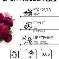Семена цветов Астра игольчато-коготковая &laquo;Джувел Аметист&raquo;, однолетняя, 0.05 г, &laquo;Гавриш&raquo;