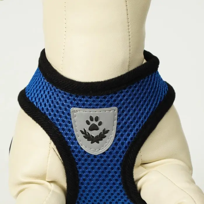 Комплект амуниции с мягкой шлейкой и светоотражающей нашивкой, M, ОШ 26,  ОГ 36-44, синий