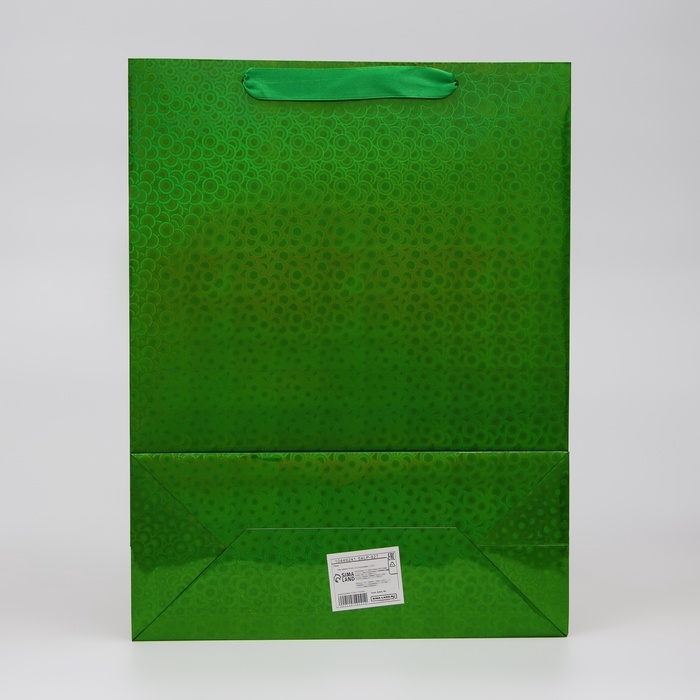Пакет голография с окном, "Зеленый",  L 40 х 30 х 13 см набор 1шт  10449241