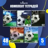 Тетради 5 штук, 48 листов в клетку Calligrata &laquo;Победа!&raquo;, обложка мелованный картон, УФ-лак, блок офсет