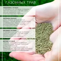 Семена газона Настоящий Низкорастущий, 0,3 кг