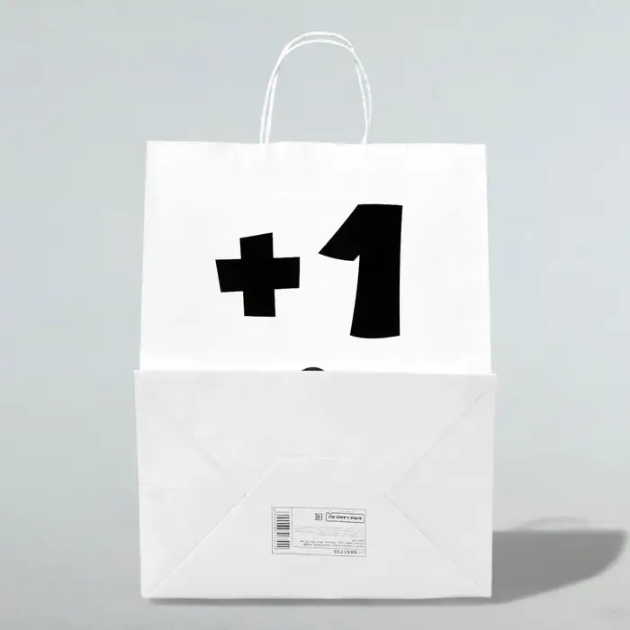 Пакет подарочный с приколами, крафт «Плюс один год», белый, 24×14×28 см Пакет подарочный с приколами, крафт «Плюс один год», белый, 24×14×28 см