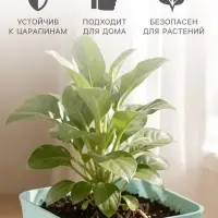 Горшок цветочный с поддоном СибПолимер &laquo;Классика&raquo;, 1 л, пластиковый, мятный