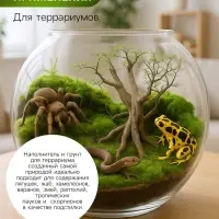Мох сфагнум &laquo;Рецепты Дедушки Никиты&raquo; 5 л.
