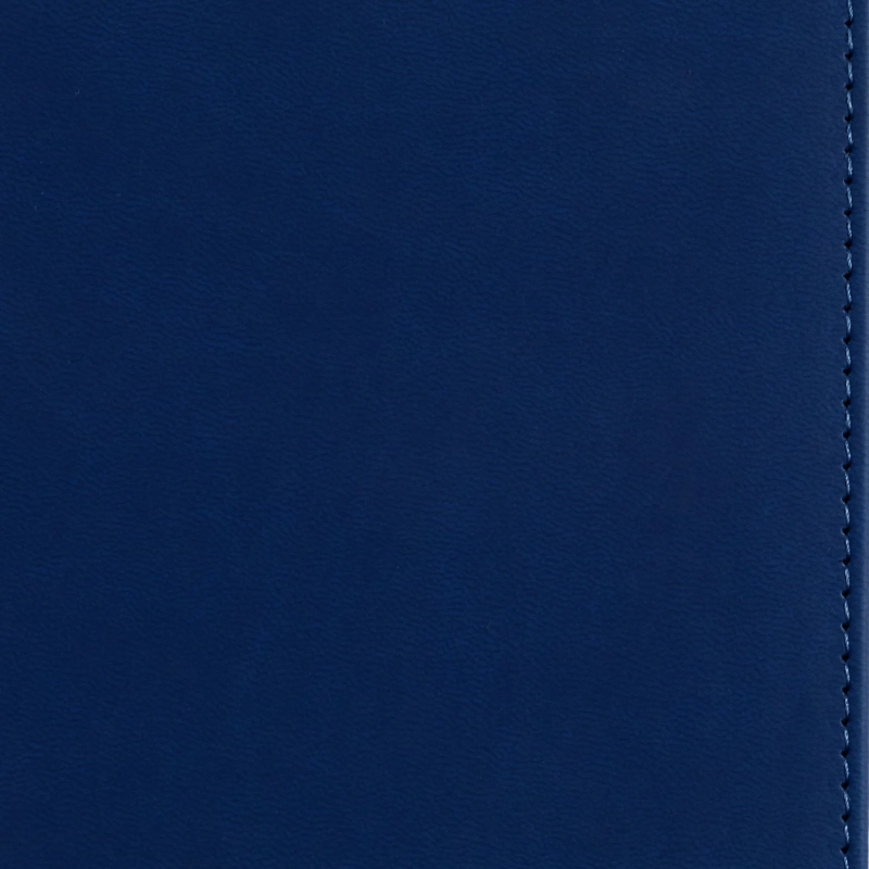 Ежедневник недатированный А5 145 х 205 мм Velvet синий 272 стр. 3-115/01