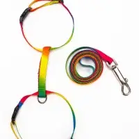 Комплект для кошек &laquo;Радуга&raquo;, ОШ 16.5-27, ОГ 21-35 см, ширина 1 см, поводок 120 см