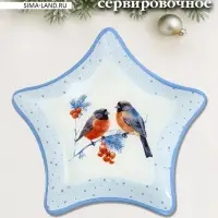 Блюдо новогоднее сервировочное Доляна &laquo;Снегири на ветке&raquo;, d=19 см, стекло, голубое