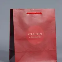 Пакет подарочный "С уважением!" ламинированный 18 х 22,3 х 10 см