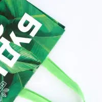 Сумка-пакет из нетканого материала с ламинацией, зелёный, эко, 36&times;46&times;16 см