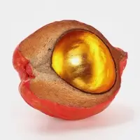 Чаша из кокоса, 24&times;22&times;10 см, красно-золотая