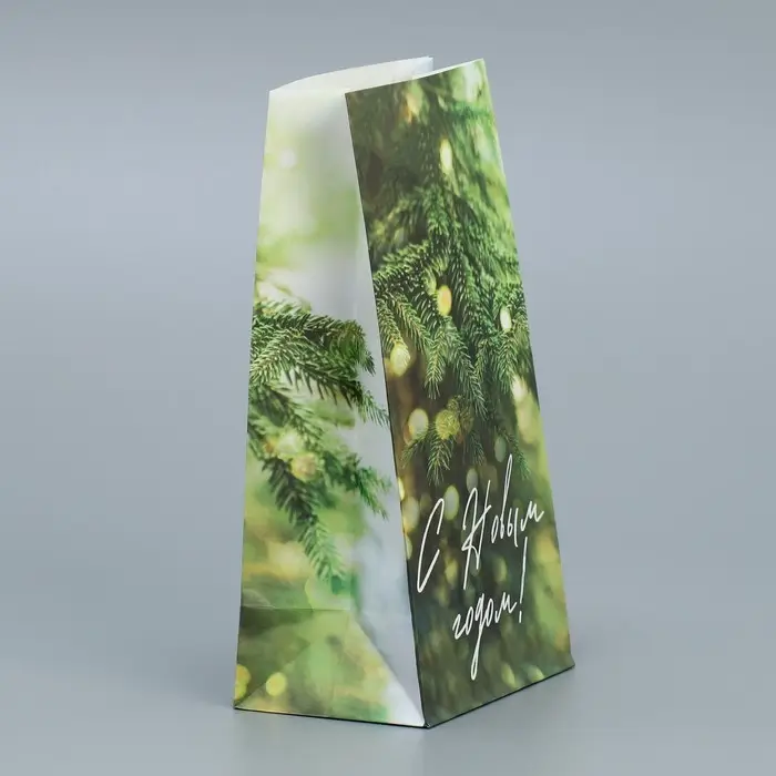 Пакет без ручек «С Новым годом», веточка ели, 10 х 19.5 х 7 см, Новый год Пакет без ручек «С Новым годом», веточка ели, 10 х 19.5 х 7 см, Новый год